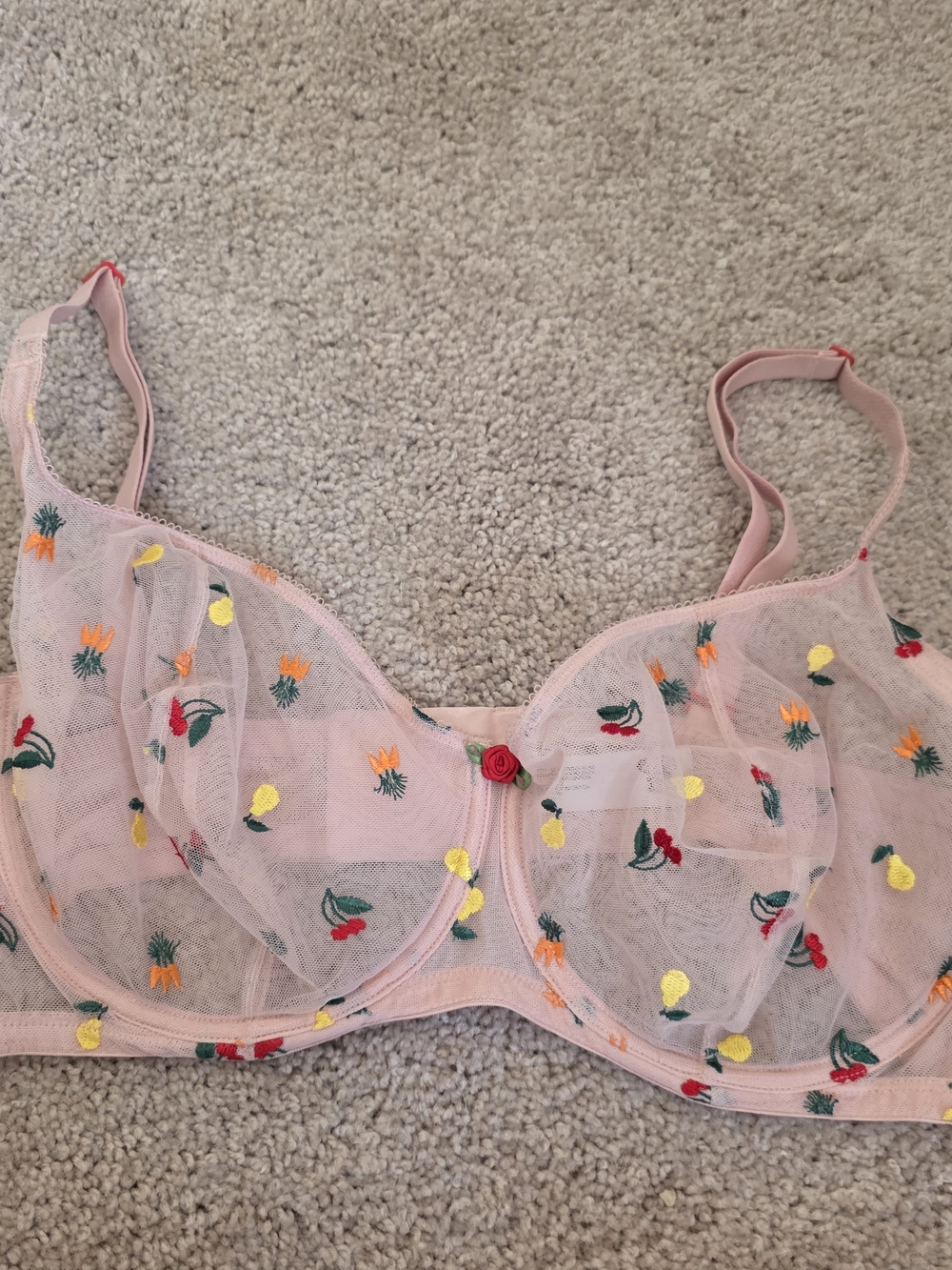 Parade Fruit-Embroidered Size 2XL Underwire Bra Sheer Pink Feminine
